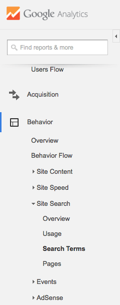 site search terms